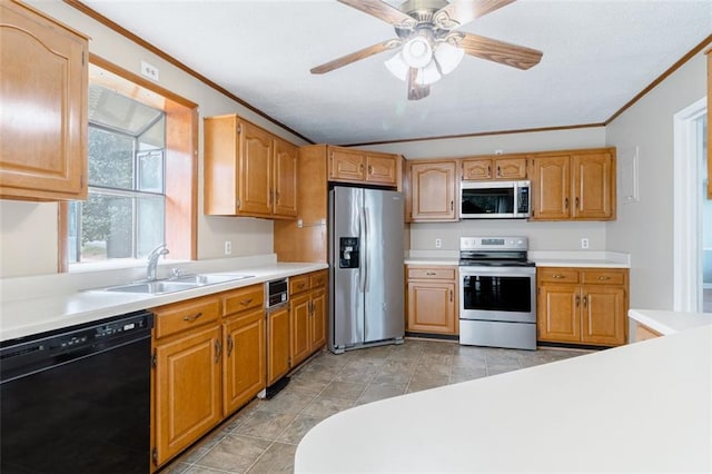 kitchen featuring ceiling fan, stainless steel appliances, crown molding, and sink