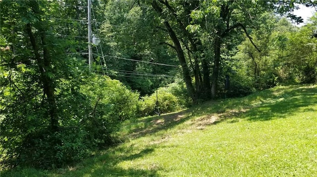 view of local wilderness