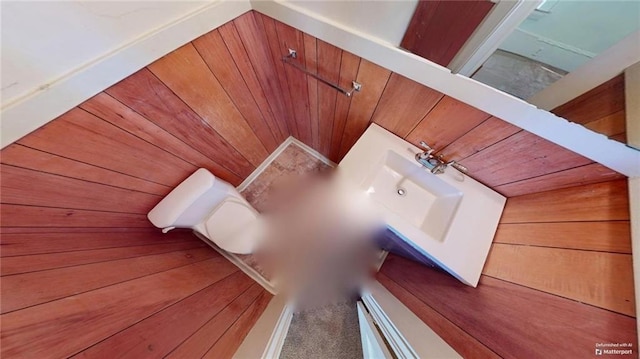 interior details featuring wooden walls and toilet