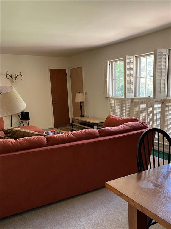 living room with carpet floors