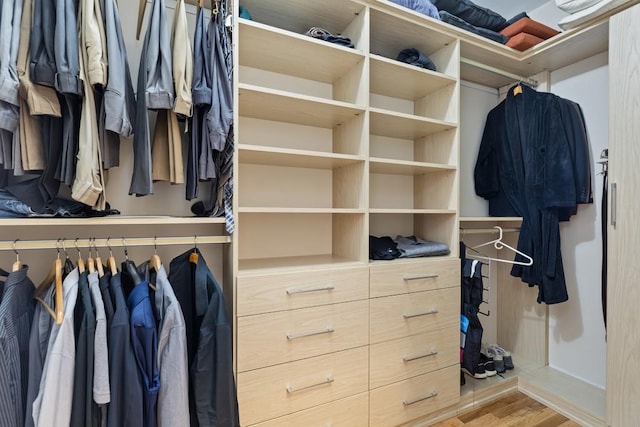 walk in closet featuring hardwood / wood-style flooring