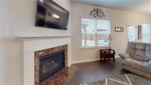 living room featuring a premium fireplace, baseboards, and wood finished floors