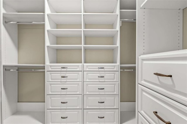 view of spacious closet