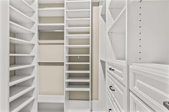 view of walk in closet