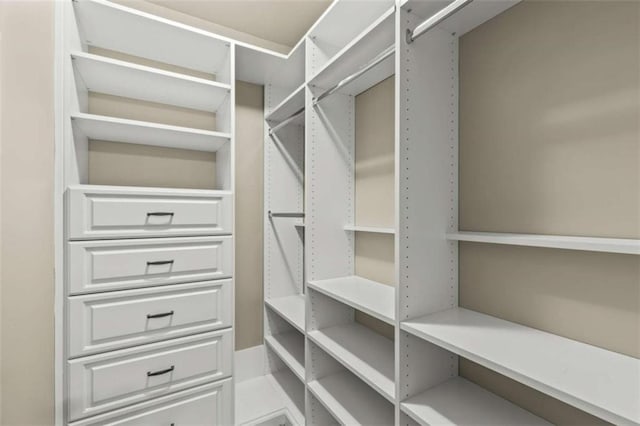 view of spacious closet