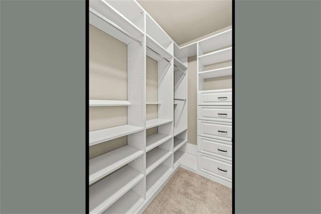 spacious closet with light carpet