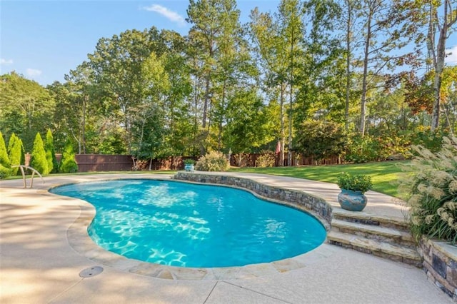 view of pool with a patio area, a fenced backyard, and a fenced in pool