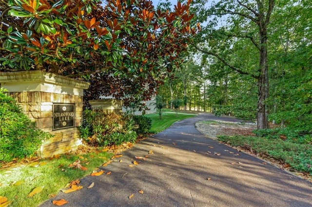 view of street featuring aphalt driveway