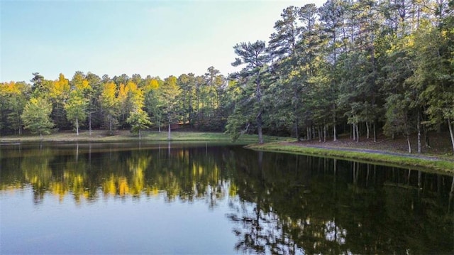 water view with a view of trees