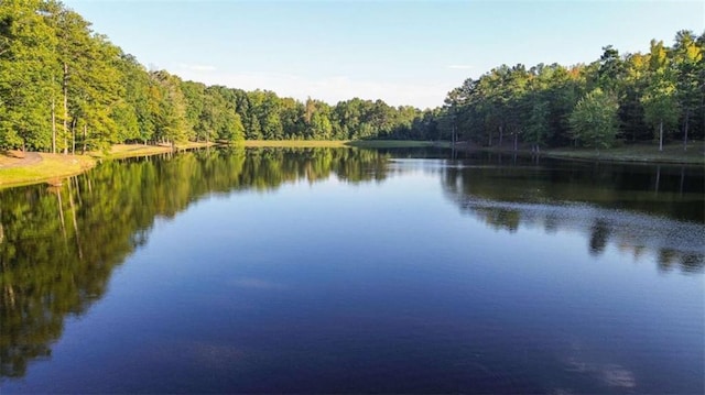 water view with a wooded view