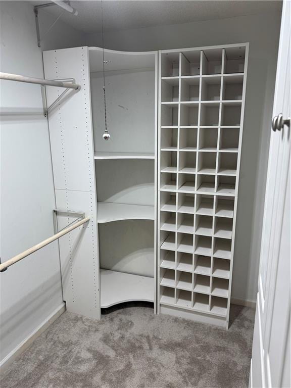 walk in closet featuring carpet