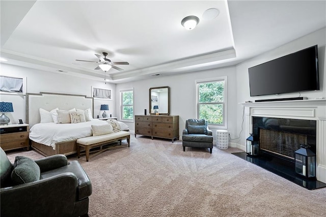 176 Red Wood Dr, Dallas, GA 30132 - carpeted bedroom featuring a tray ceiling, multiple windows, and a fireplace