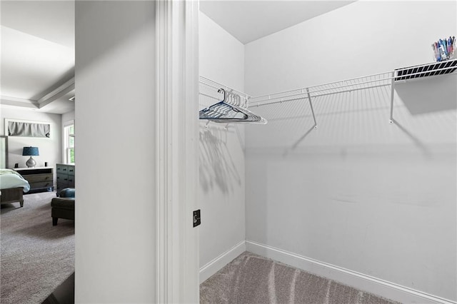176 Red Wood Dr, Dallas, GA 30132 - walk in closet featuring carpet floors