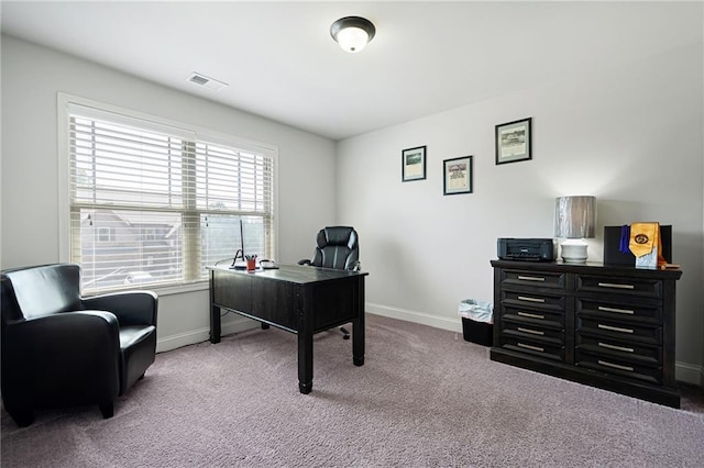 176 Red Wood Dr, Dallas, GA 30132 - carpeted home office with baseboards and visible vents