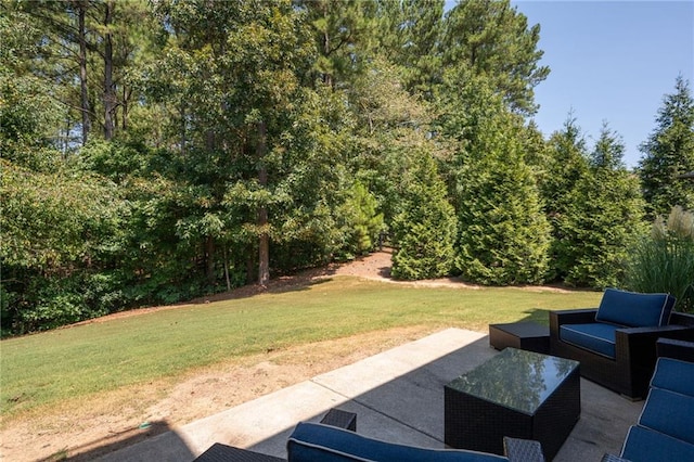 176 Red Wood Dr, Dallas, GA 30132 - view of patio / terrace with outdoor lounge area