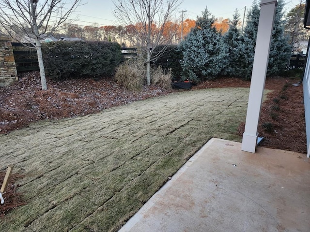 view of yard with a patio area