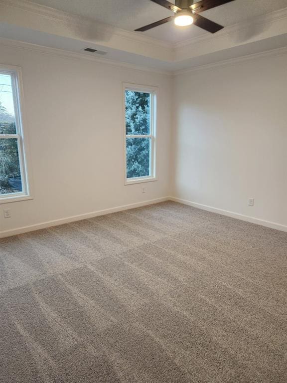 spare room featuring carpet floors and crown molding