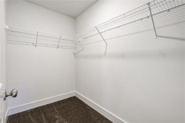 spacious closet featuring dark colored carpet