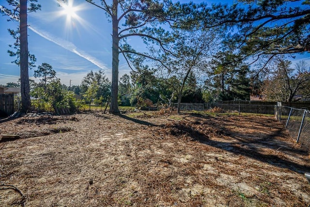 36 Strozier St, Helena, GA 31055