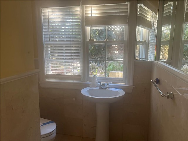 bathroom with plenty of natural light and toilet