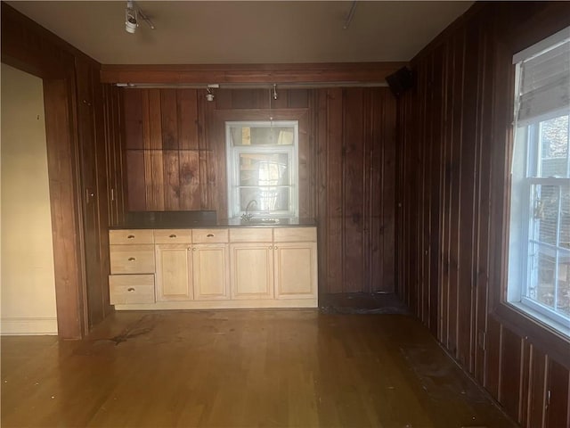 interior space featuring wooden walls, dark wood-style floors, and a sink