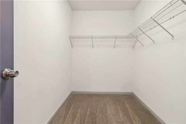 2206 Loring Ct, Decatur, GA 30032 - spacious closet with carpet flooring
