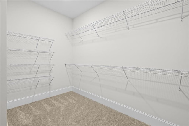 130 W Lake Blvd, Carrollton, GA 30116 - spacious closet with carpet flooring