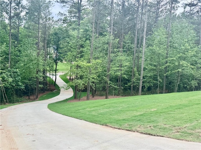 view of community featuring a yard and a forest view