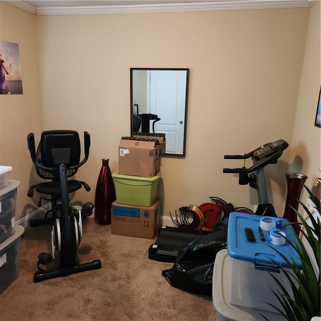 workout room with crown molding and carpet floors