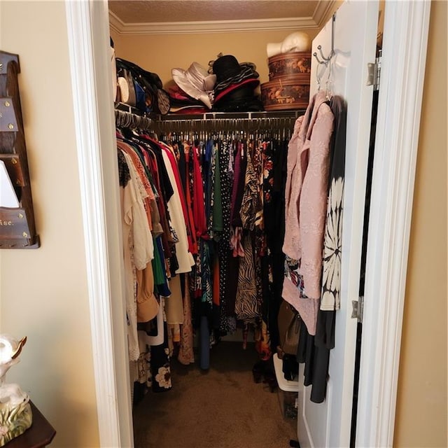 spacious closet featuring carpet floors