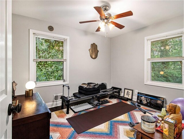 exercise room featuring ceiling fan, plenty of natural light, and hardwood / wood-style floors