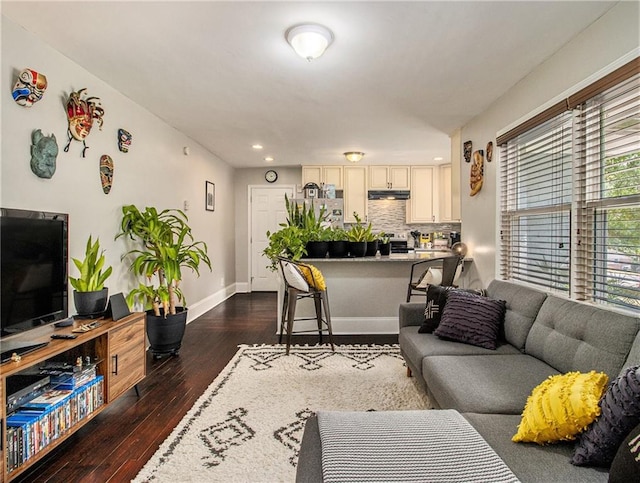 living room featuring dark hardwood / wood-style flooring