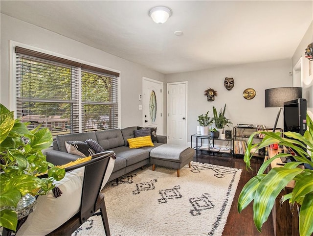 living room featuring hardwood / wood-style floors