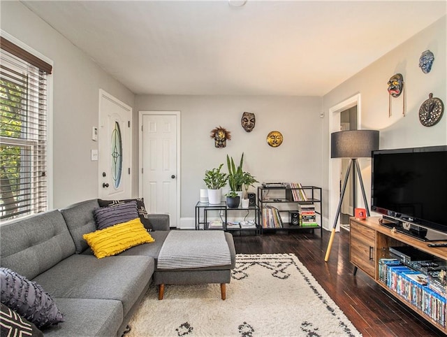 living room featuring dark hardwood / wood-style flooring