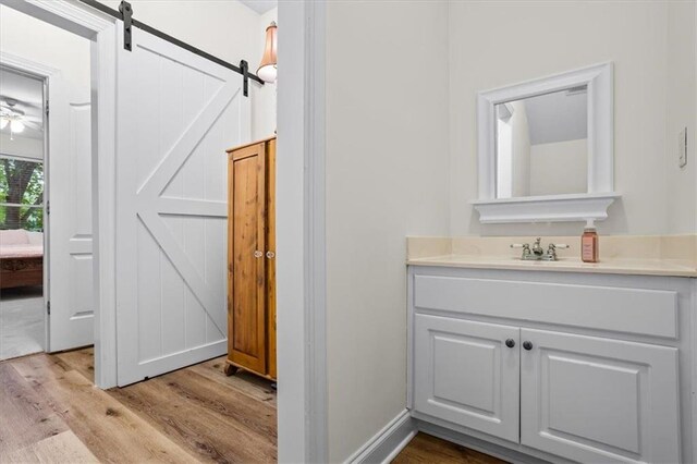 bathroom with vanity and wood-type flooring