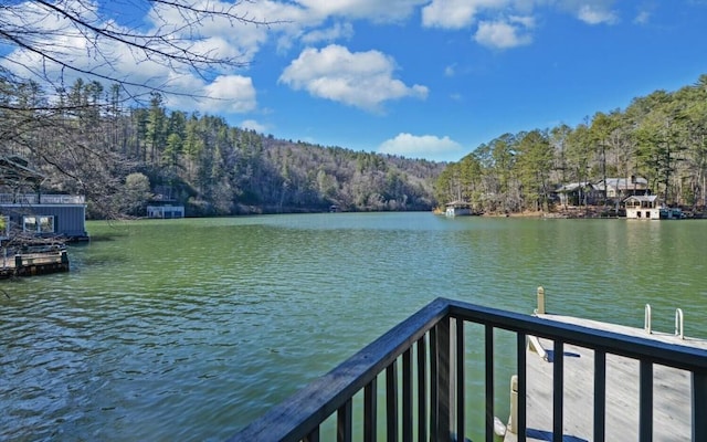 126 Jenkins Cir, Lakemont, GA 30552 - water view with a heavily wooded area