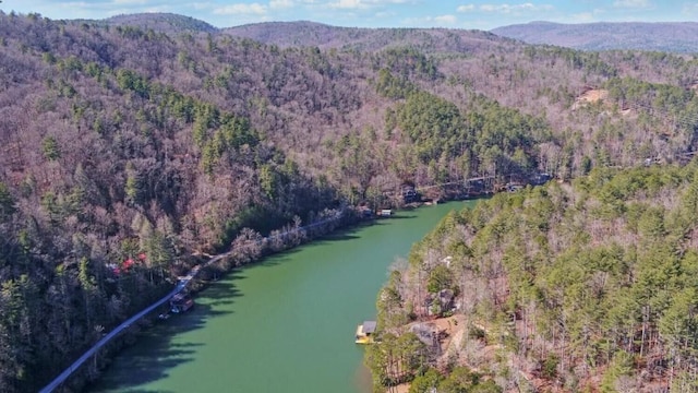 126 Jenkins Cir, Lakemont, GA 30552 - aerial view of property's location featuring a heavily wooded area and a water and mountain view