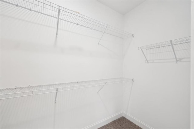 spacious closet with carpet