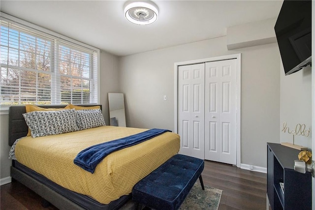 bedroom featuring multiple windows, a closet, and dark hardwood / wood-style floors