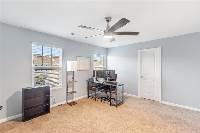 244 Grand Central Way, Cartersville, GA 30120 - home office with carpet, a ceiling fan, and baseboards