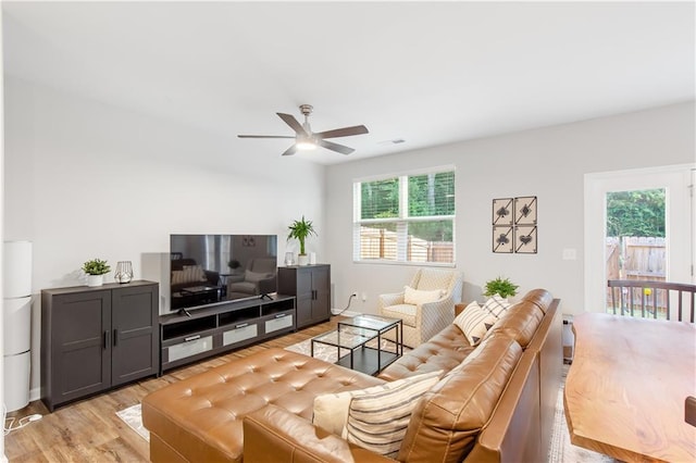 244 Grand Central Way, Cartersville, GA 30120 - living room with plenty of natural light, a ceiling fan, and light wood-style floors