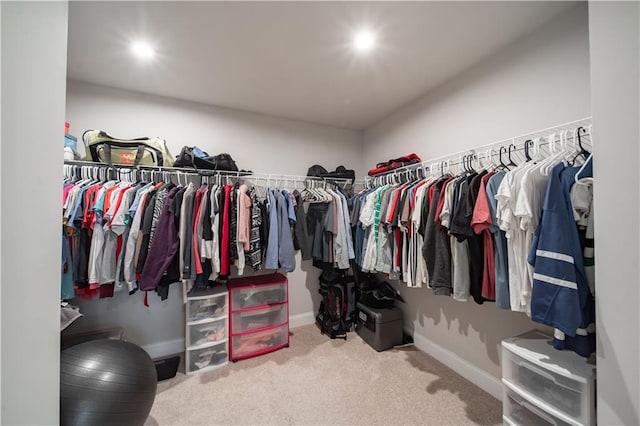 walk in closet featuring carpet floors