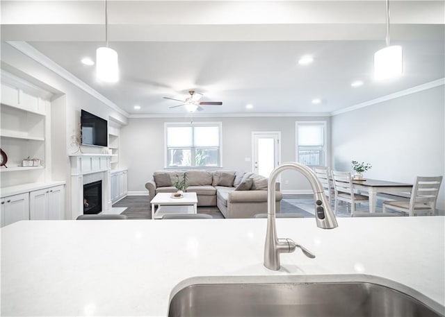 kitchen with decorative light fixtures, built in shelves, dark hardwood / wood-style floors, and sink