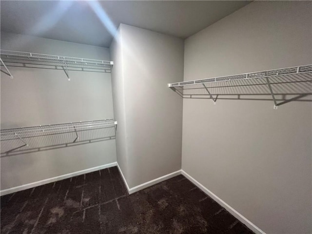 spacious closet featuring carpet