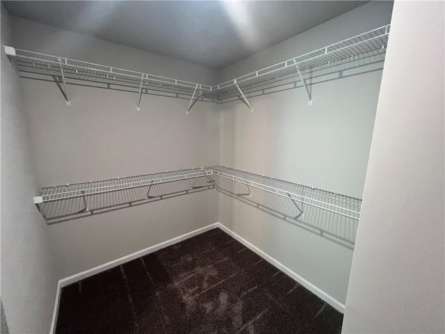 spacious closet with carpet