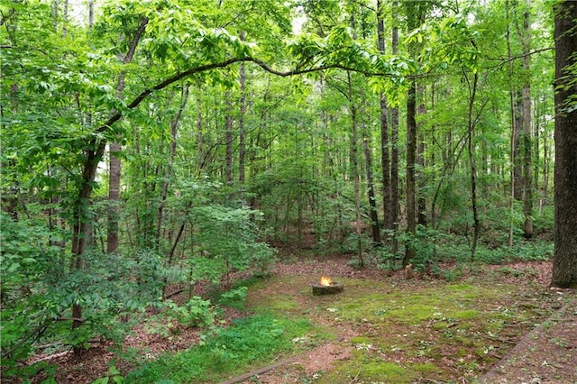 2281 Carlan Rd, Jasper, GA 30139 - view of wooded area