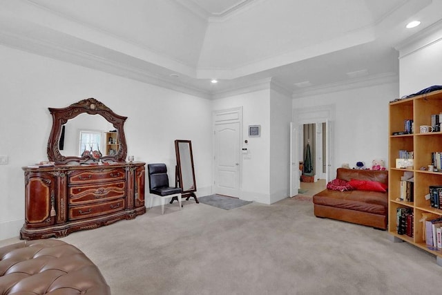 living area featuring ornamental molding, carpet, and a raised ceiling