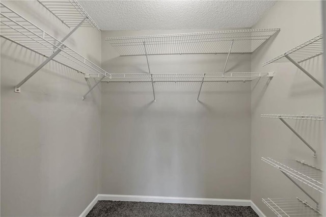 walk in closet with carpet floors