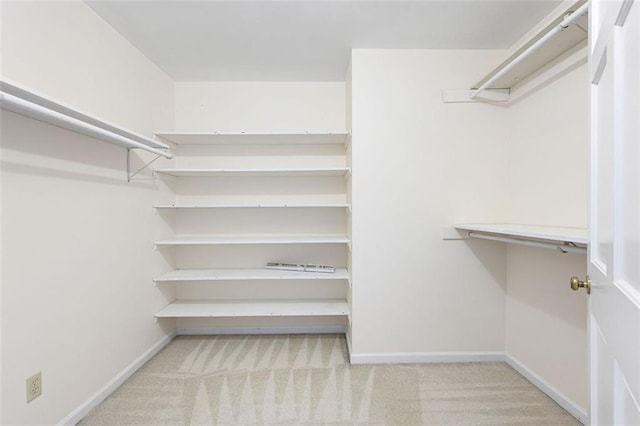 spacious closet with light carpet