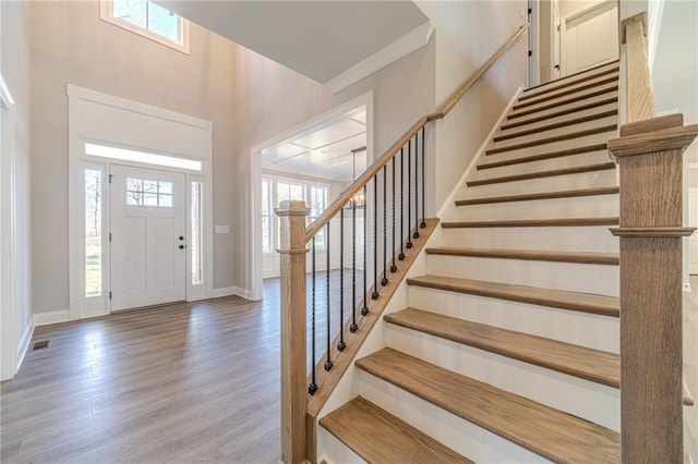 foyer featuring wood-type flooring, a wealth of natural light, and a towering ceiling